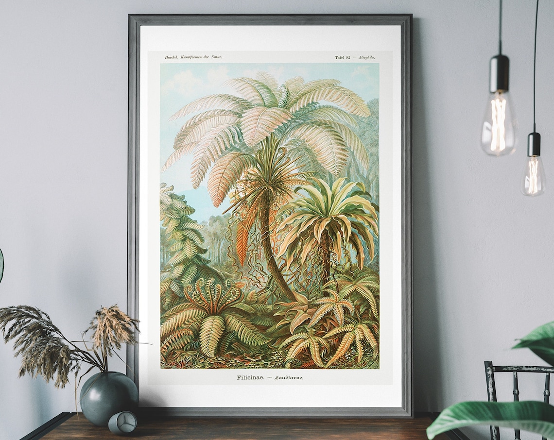 Vintage Ferns Art Print, Ernst Haeckel Botanical Illustration