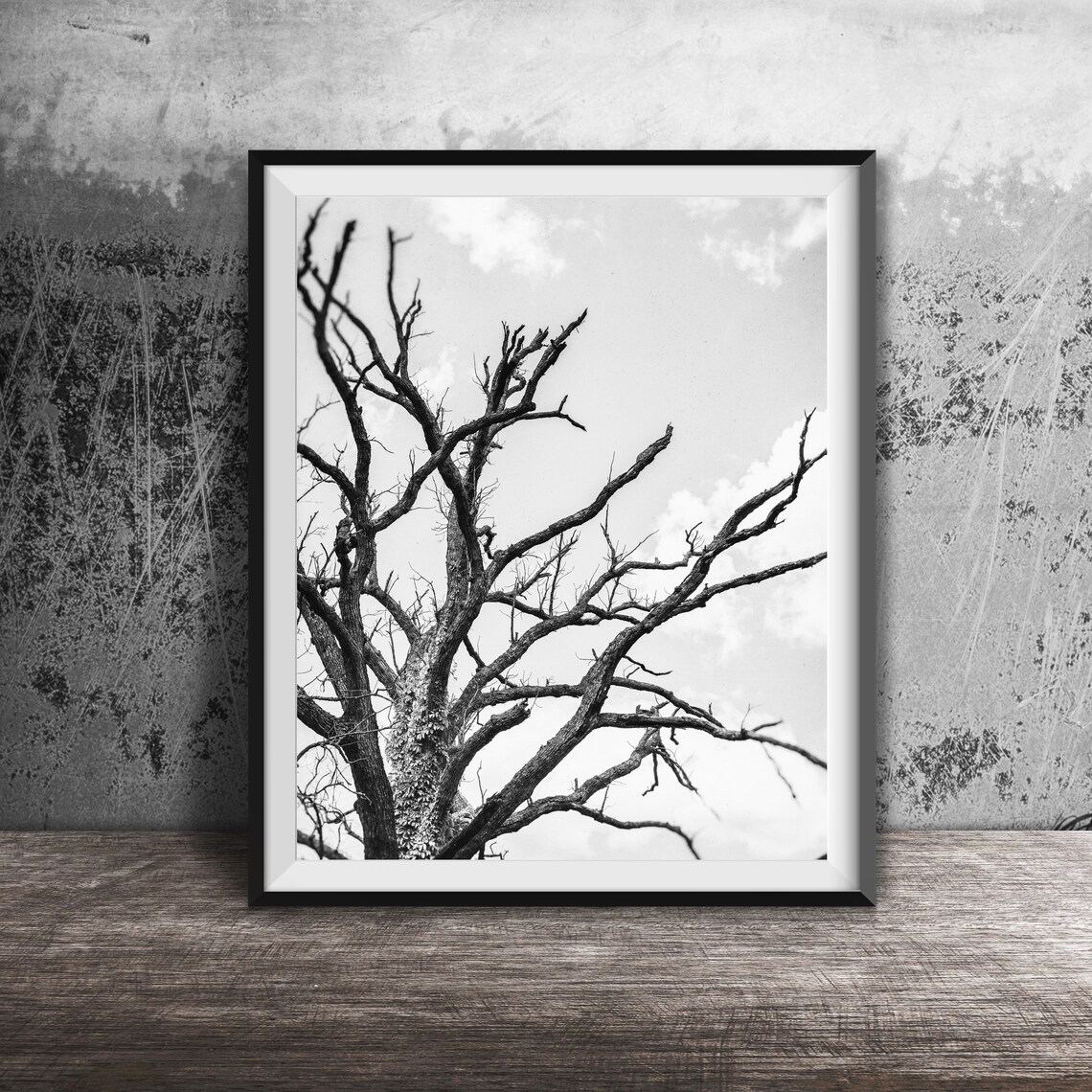 Dead Tree Branches Nature Landscape, Forest Trees - Image 2