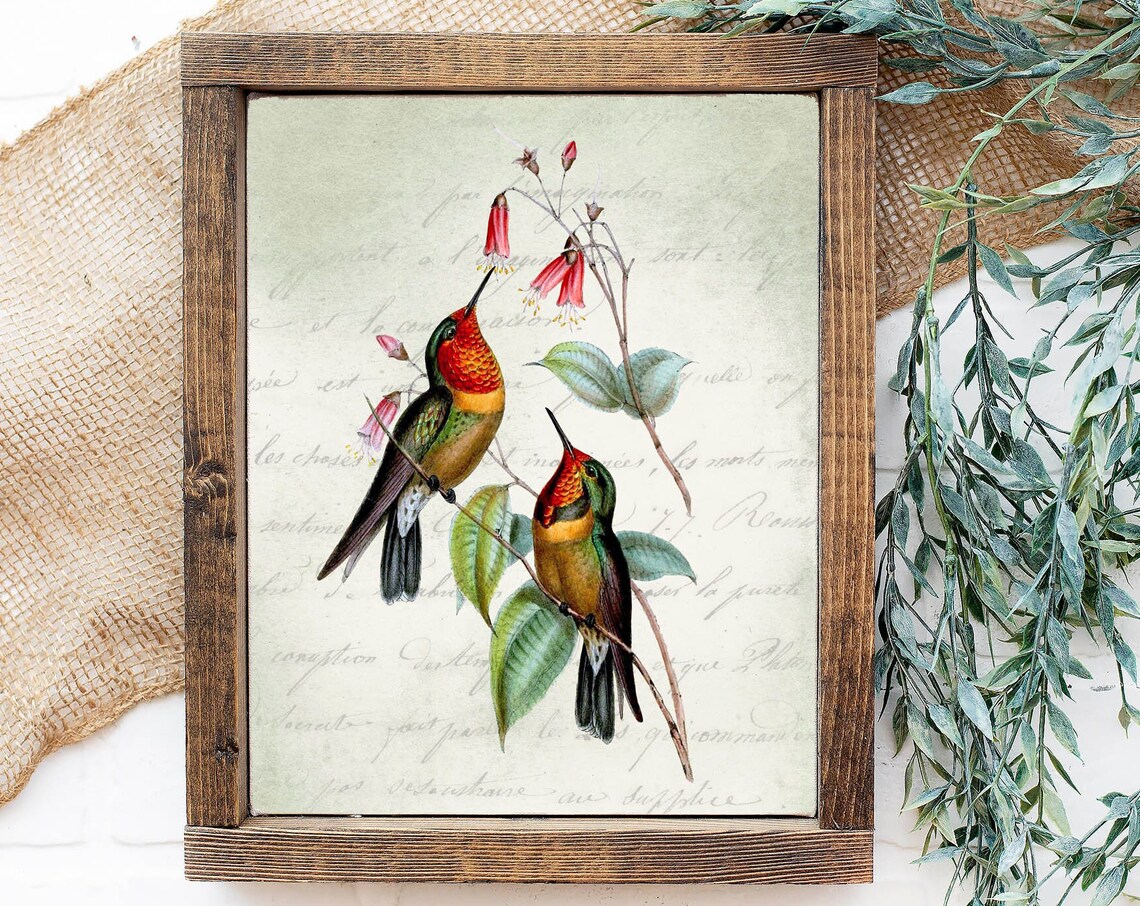 Two Vintage Hummingbirds Floral Botanical Bird Nature Art Print