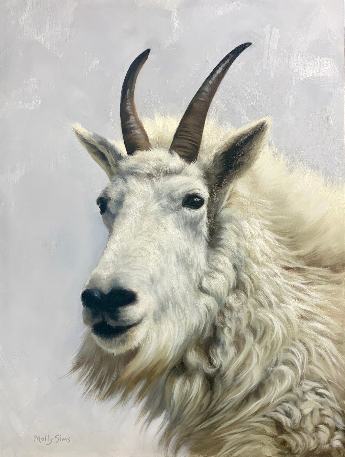 Goat Mountain Goat Realistic Wildlife Art Print
