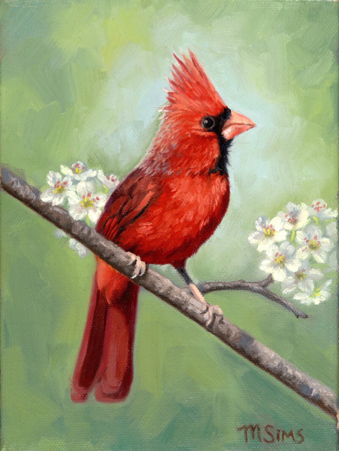Red Cardinal Bird Painting, Bird Art Print