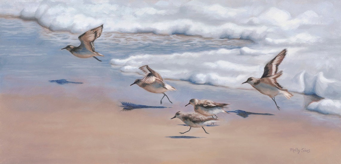 Sanderling Birds On Beach Waves Shorebird Watercolor Ocean Poster