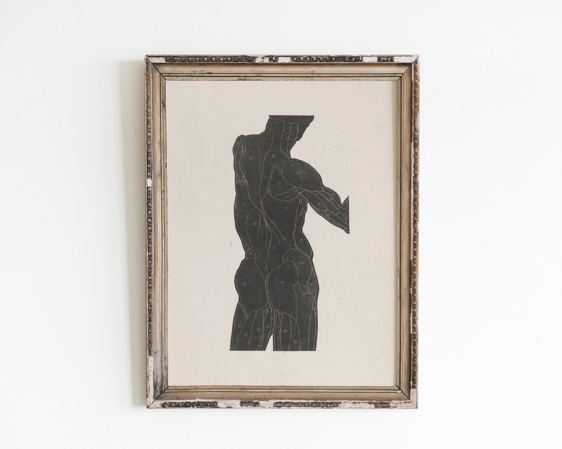 Male Anatomy Sketch, Vintage Minimalist Art Print