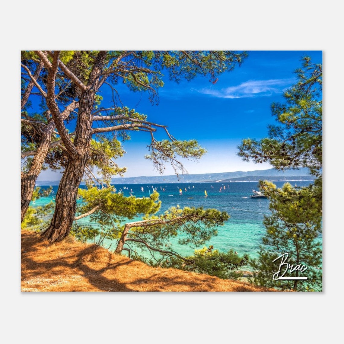 Brac Croatia Coastal Poster with Pine Trees Over Turquoise Sea View