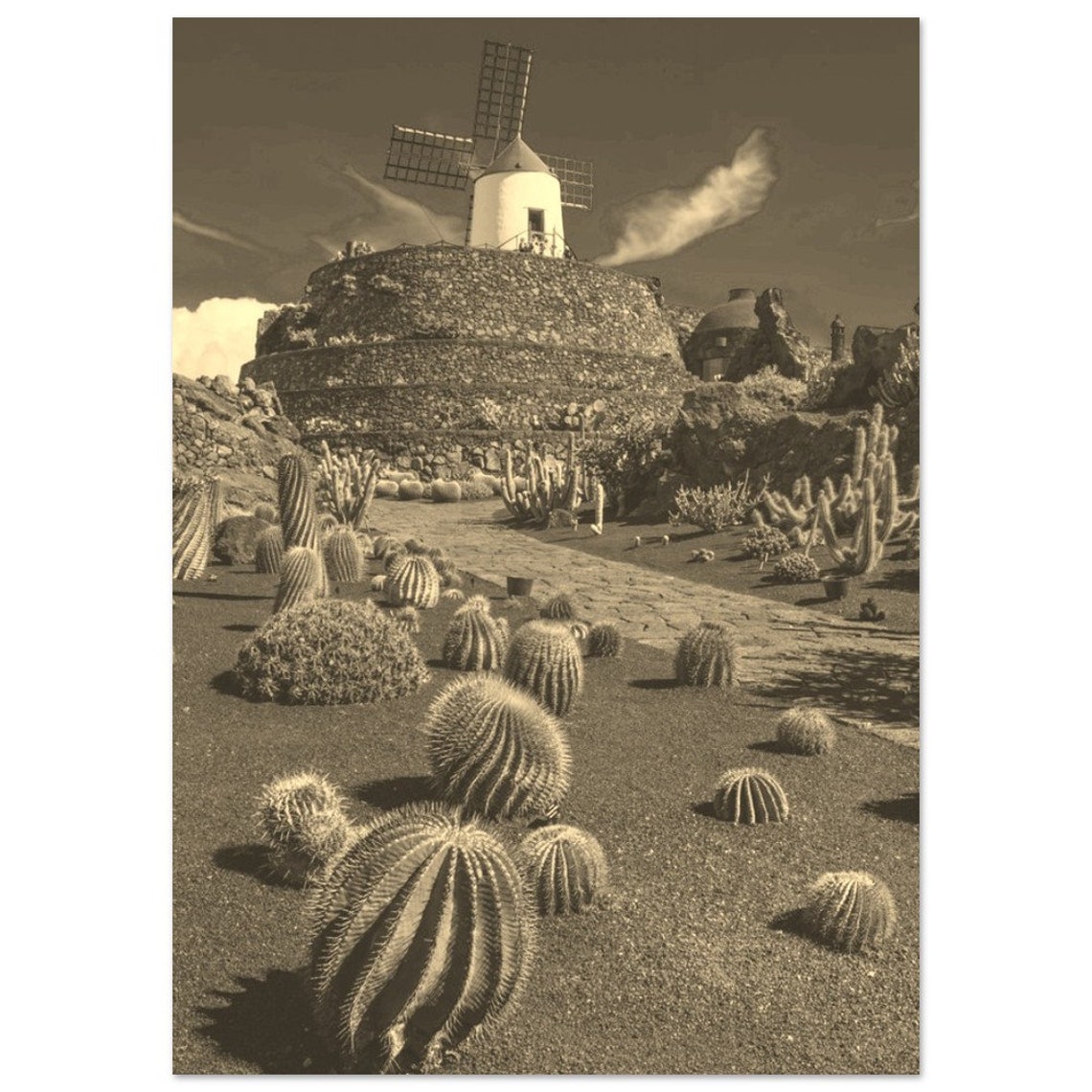 Lanzarote Canary Islands Sepia Cactus Garden Windmill Poster