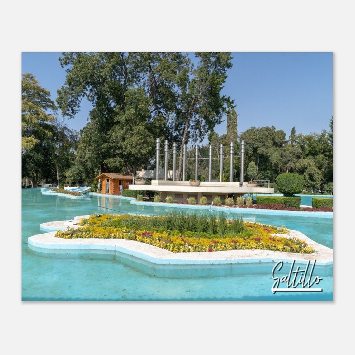 Saltillo Mexico Travel Poster Lake Park Skyline Art Print