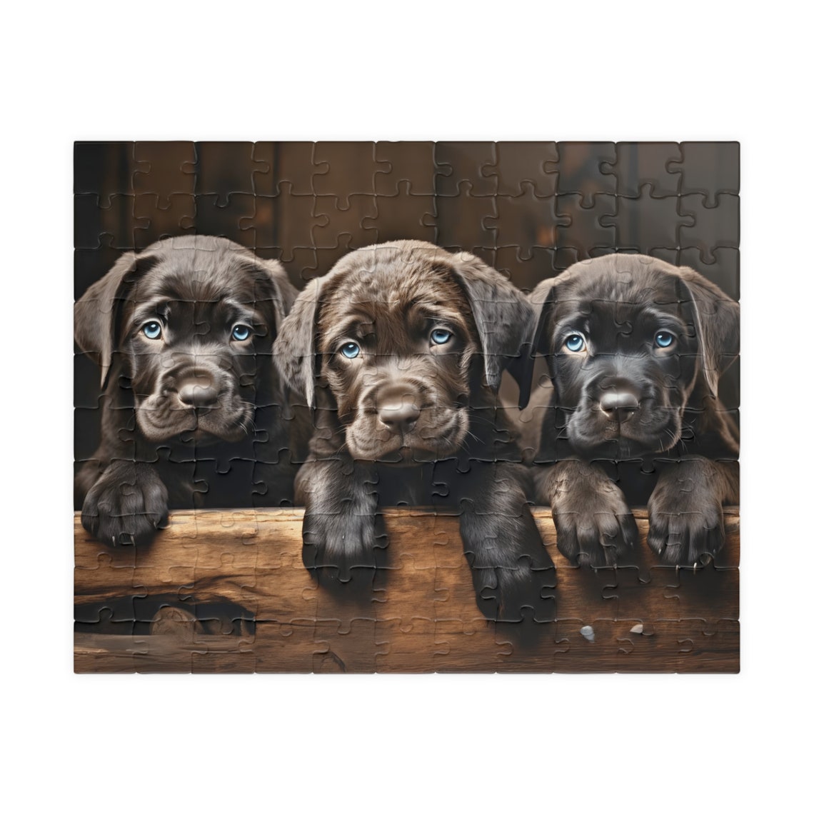 Three Adorable Chocolate Labrador Puppies Cute Dog Trio Poster - Image 2