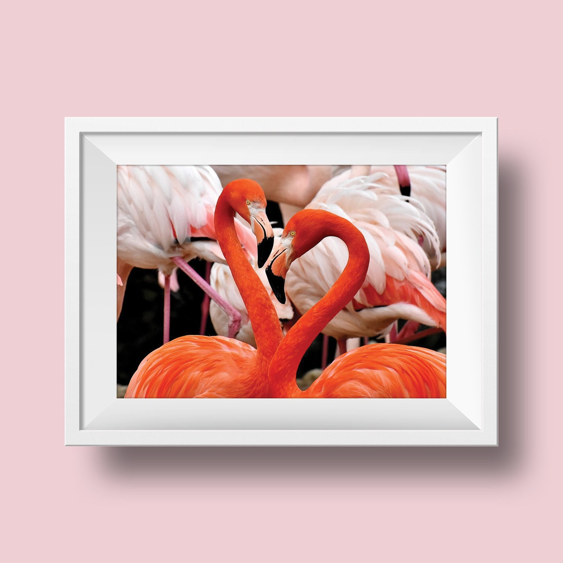 Flamingo Party Flamingo Decor Flamingo Party Decor Flamingo Print Dorm Room Decor Flamingo Art Flamingo Wall Art Tropical Flamingo