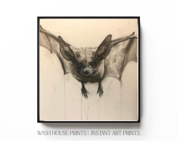 Vintage Bat Illustration Sketch Dark Academia Gothic Animal Art Poster