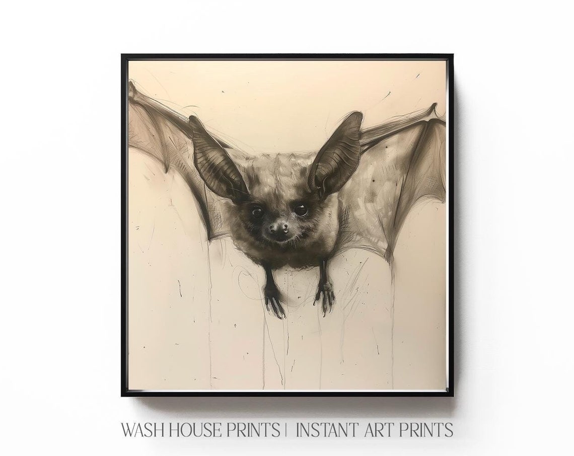Vintage Bat Illustration Sketch Dark Academia Gothic Animal Art Poster