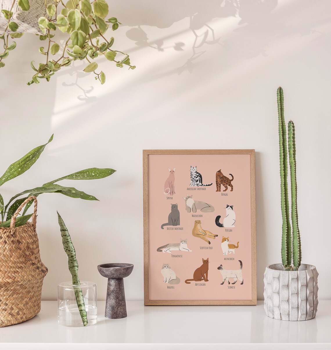 Cat Breeds Poster, Cat Portrait Drawing Guide - Image 3