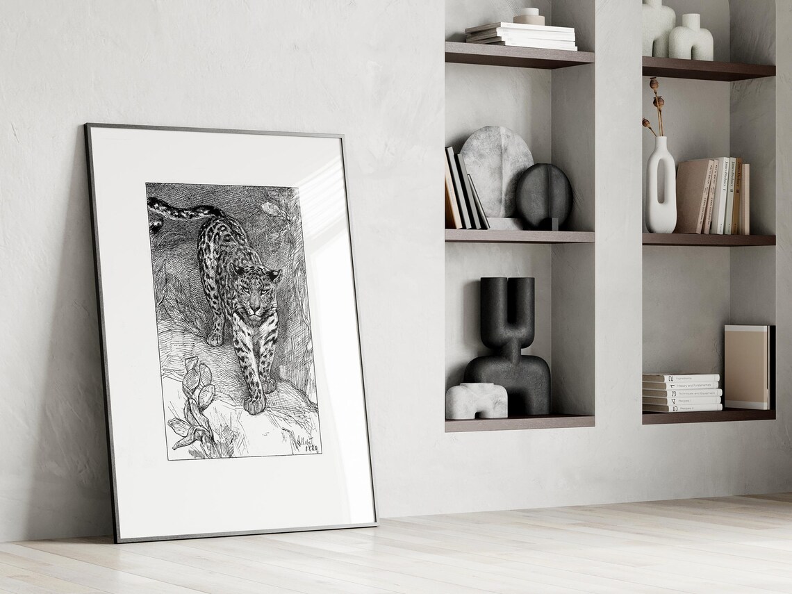 Vintage Leopard Art Print, Antique Animal Illustration - Image 2