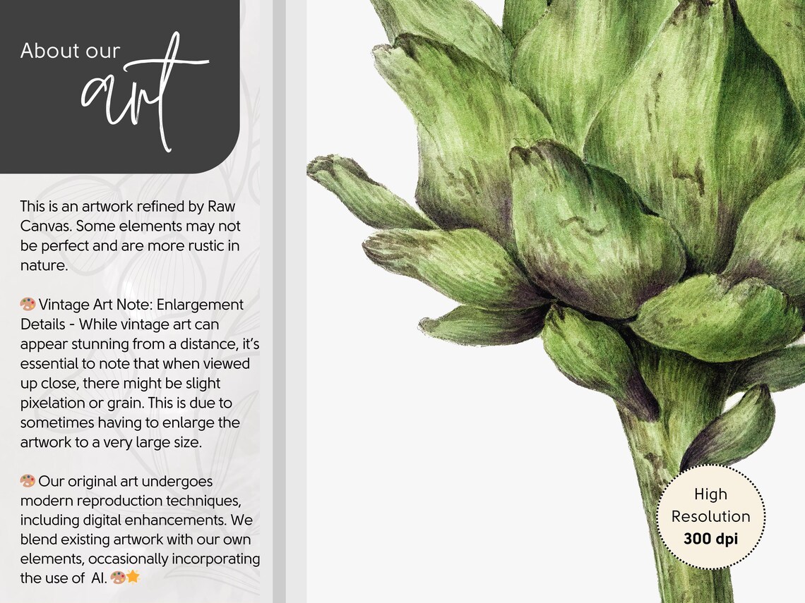 Vintage Botanical Artichoke, French Country Decor - Image 5