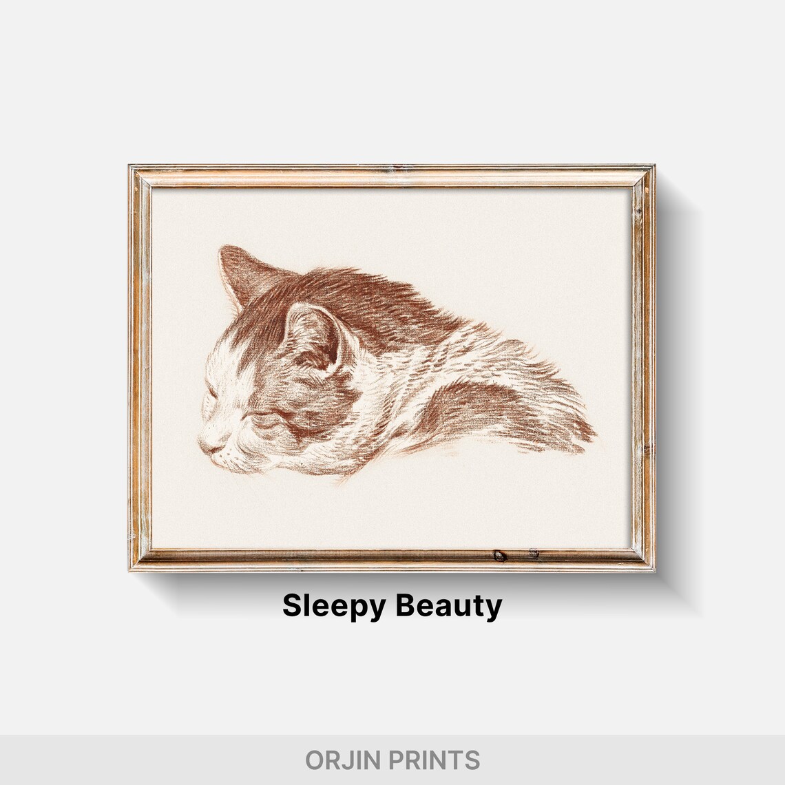 Sleeping Cat Head in Sepia Chalk Sketch Cozy Feline Art Poster - Image 2