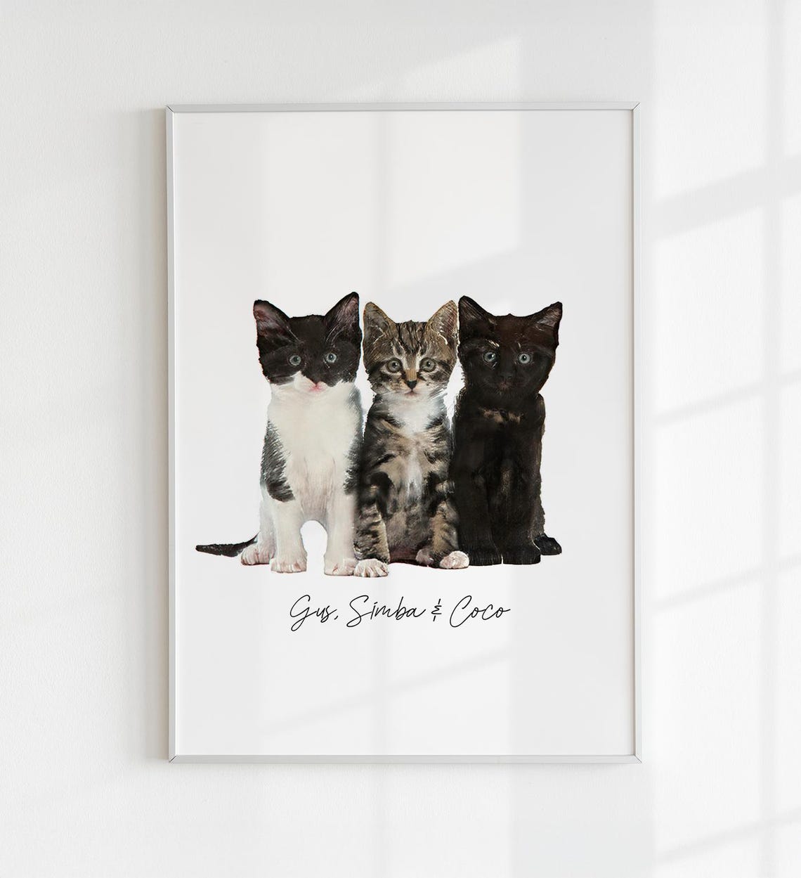 Custom Pet Portrait Personalized Sphynx Cat Name Wall Art Print Poster - Image 7