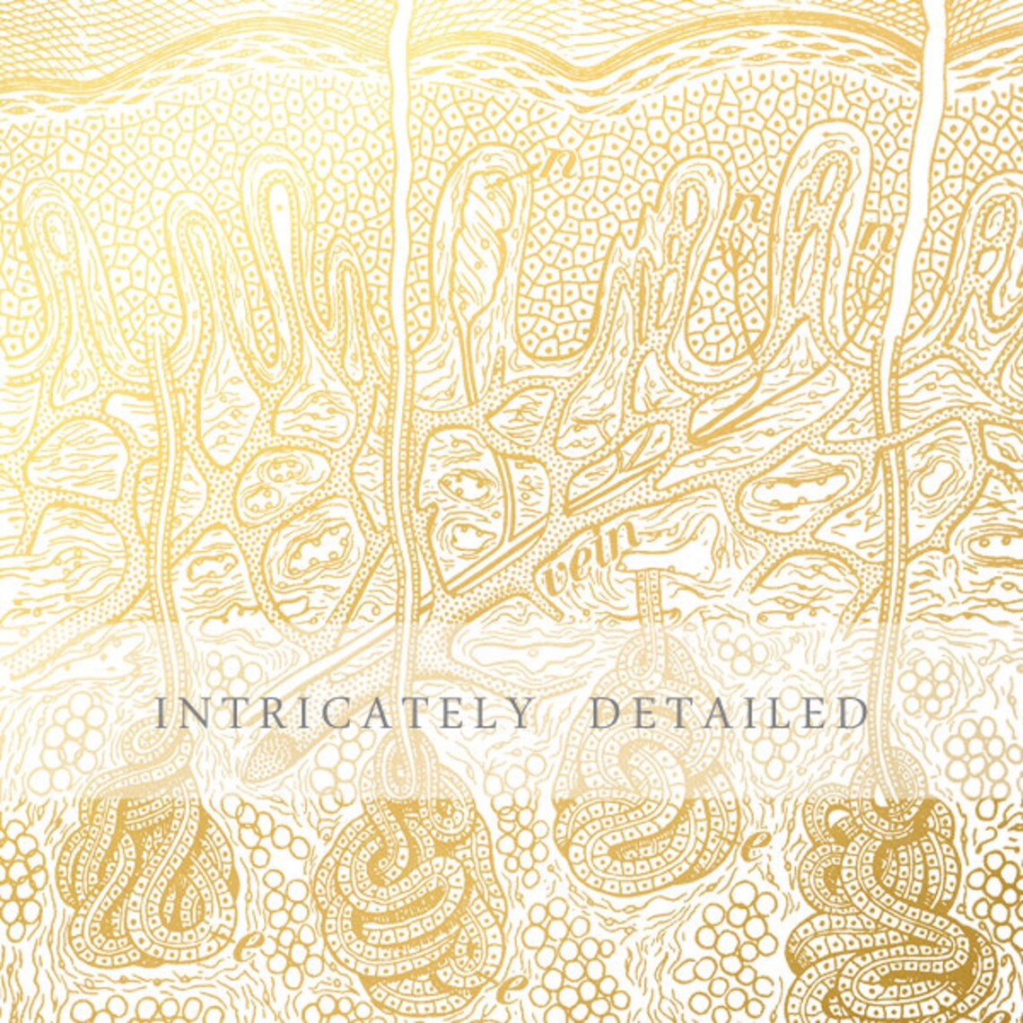 Skin Epidermis Anatomy Gold Foil Dermatology Medical Wall Art - Image 3