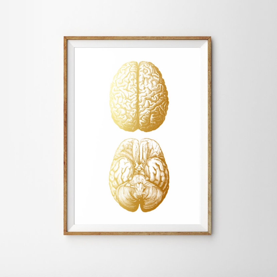 Gold Foil Brain Anatomy Two Views Neuroscience Medical Art Print - Image 3