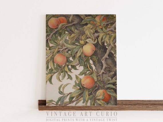 Vintage Peach Tree Print Botanical Kitchen Wall Art