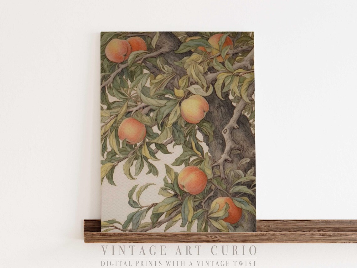 Vintage Peach Tree Print Botanical Kitchen Wall Art
