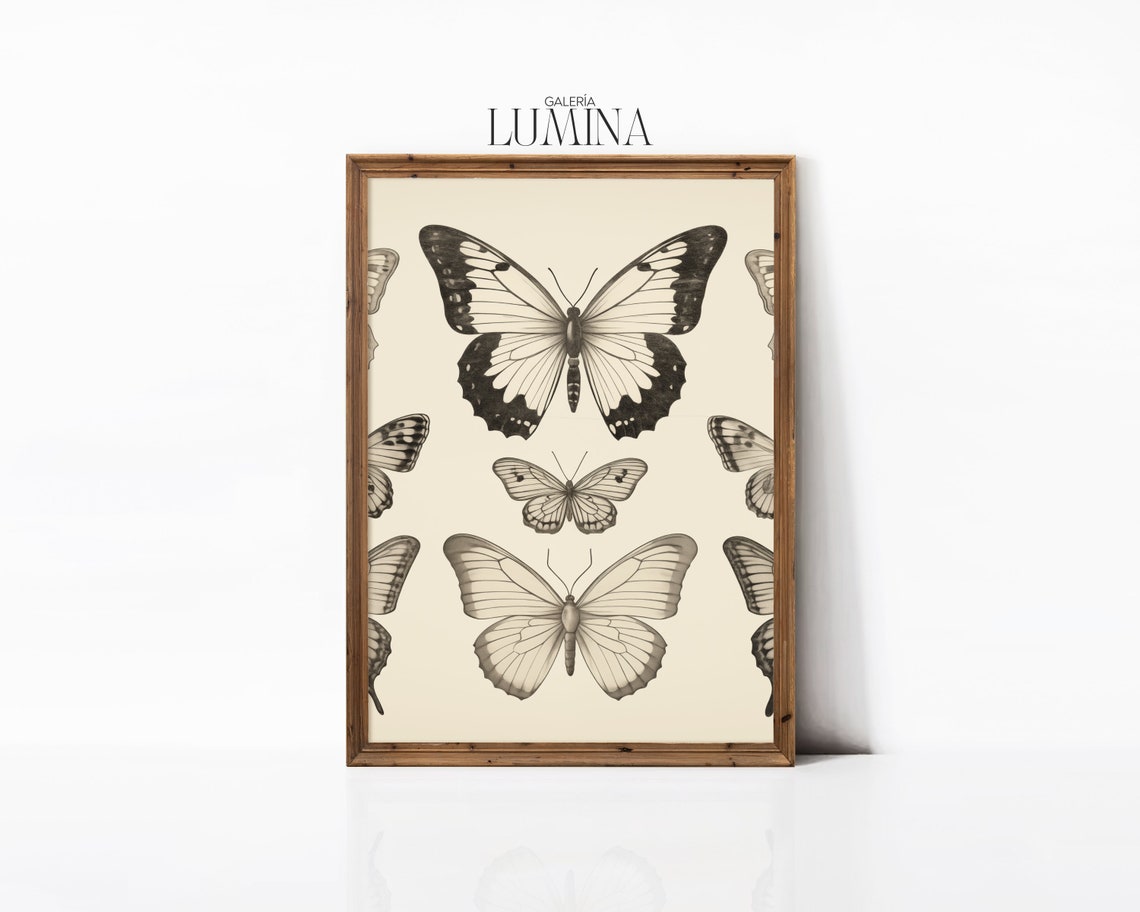 Vintage Butterflies Pencil Drawing Hand Drawn Butterfly Illustration Antique Butterfly Sketch Print Art Frame Tv Art 329 - Image 3