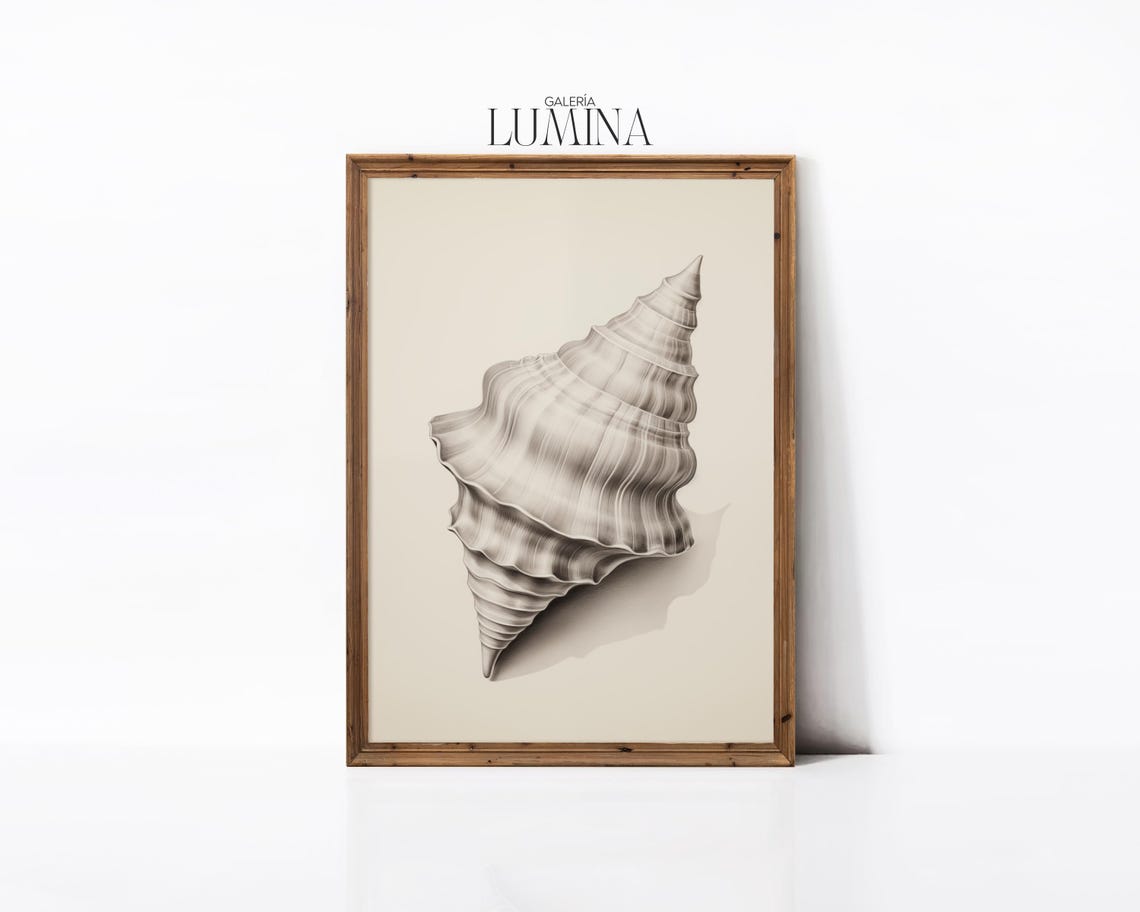 Conch Shell Pencil Drawing Minimalist Coastal Seashell Poster - Image 3