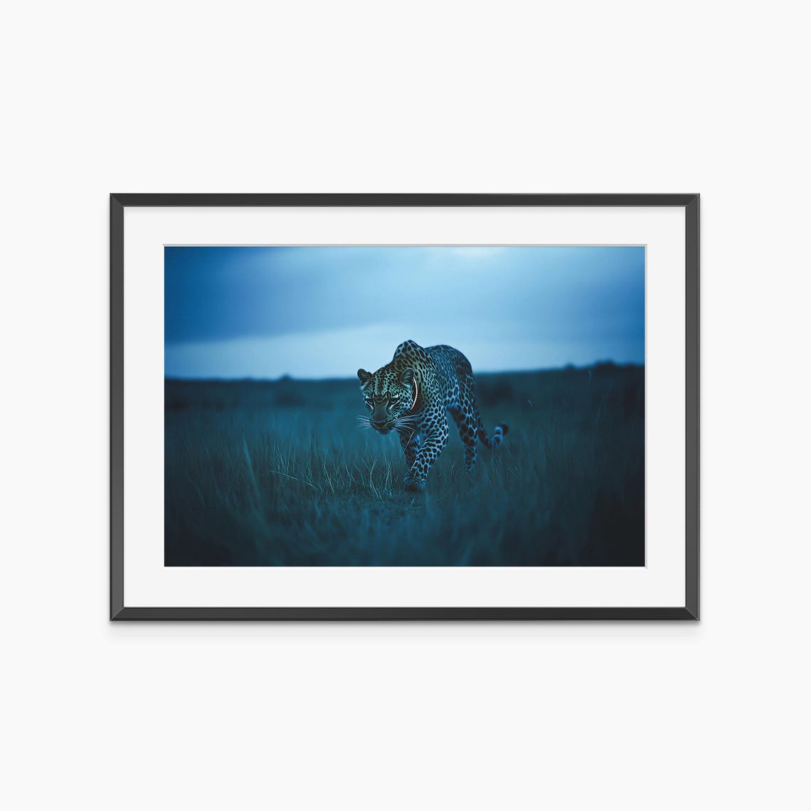Leopard Prowling Grassland Dusk Blue Hour Wildlife Photo Poster