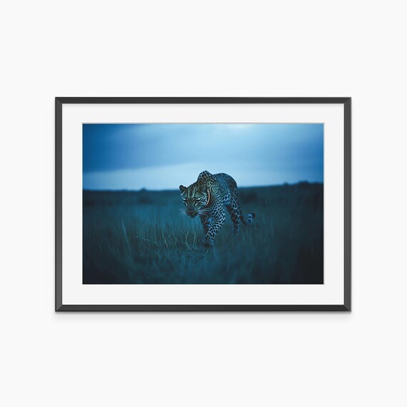 Leopard Print Photography Prints Animal Room Decor Poster Wall Art Museum Quality