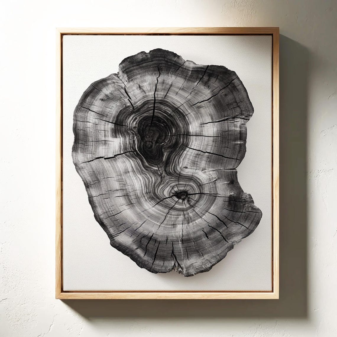 Black White Organic Tree Ring Minimal Botanical Scandi Art Poster - Image 3