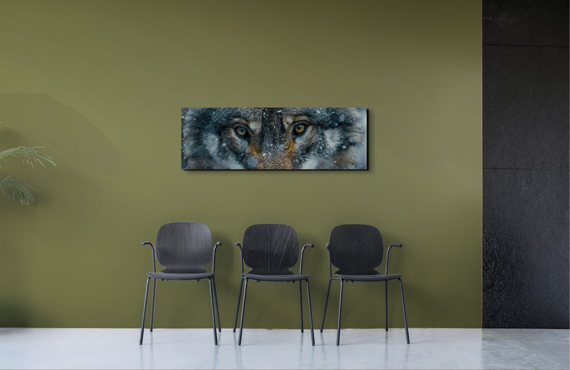 Wolf Face Close Up Amber Eyes Snow Panoramic Wildlife Poster - Image 4