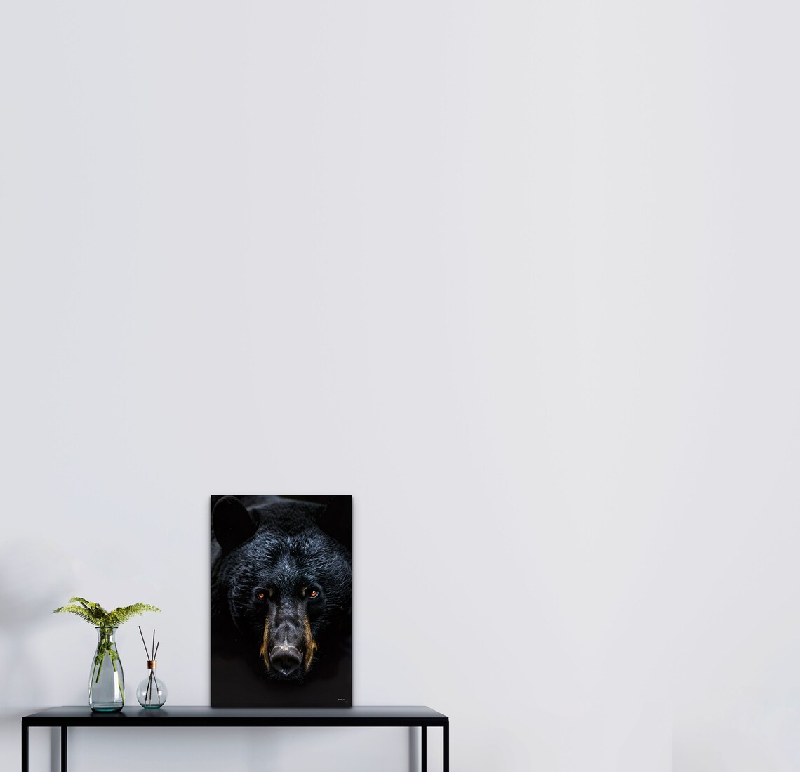 Black Bear Face Portrait Dramatic Dark Background Wildlife Wall Art - Image 7