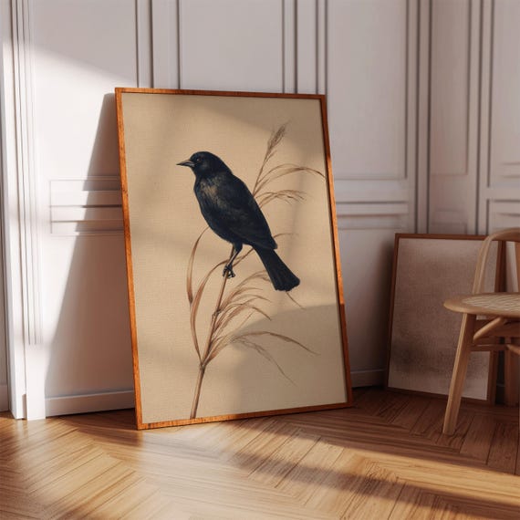 Vintage Blackbird On Reed Botanical Illustration