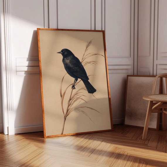 Vintage Blackbird Perched On Reed Botanical Illustration Antique Bird Poster