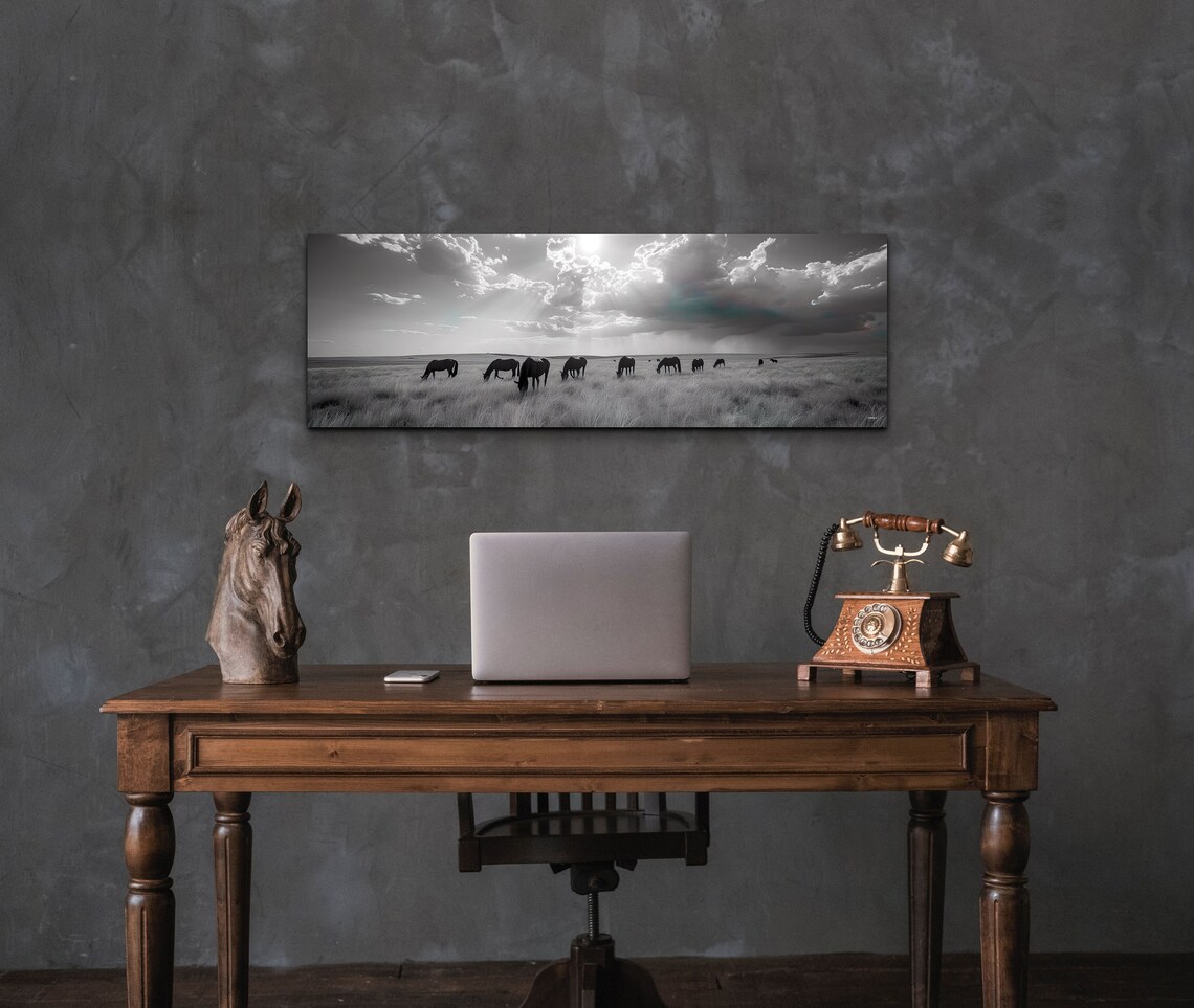 Panoramic Wild Horse Black And White Art Print - Image 4