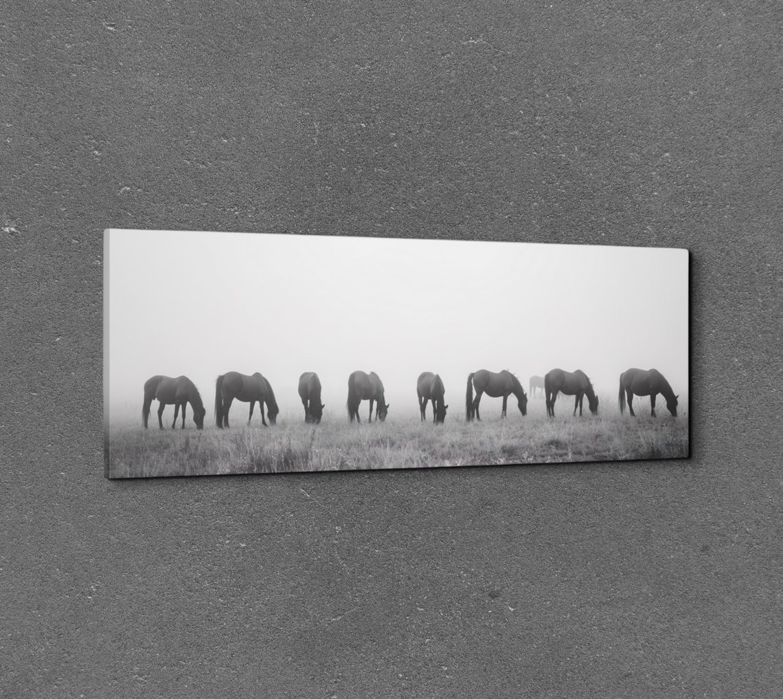 Black And White Horses Grazing In Mist Panoramic Wild Herd Poster - Image 3