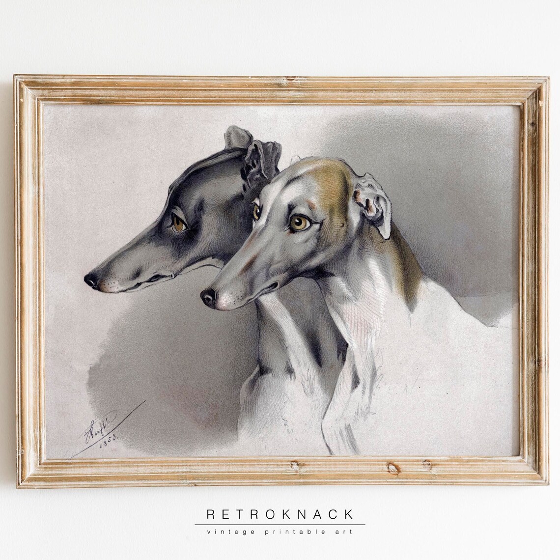 Two Greyhounds 1853 Vintage Dog Portrait Antique Canine Art Poster
