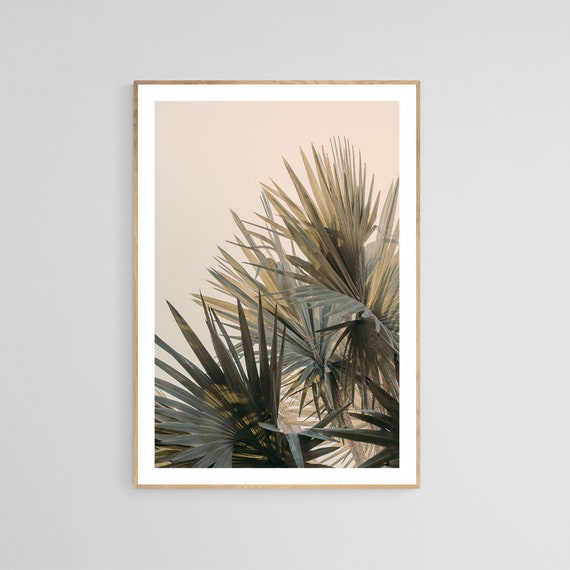 Palm Tree Print, Tropical Travel Photograph