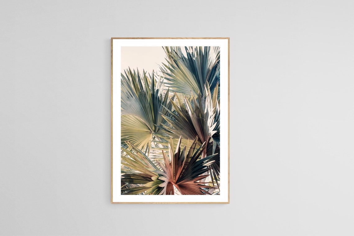 Palm Tree Photograph, Tropical Nature Art Print