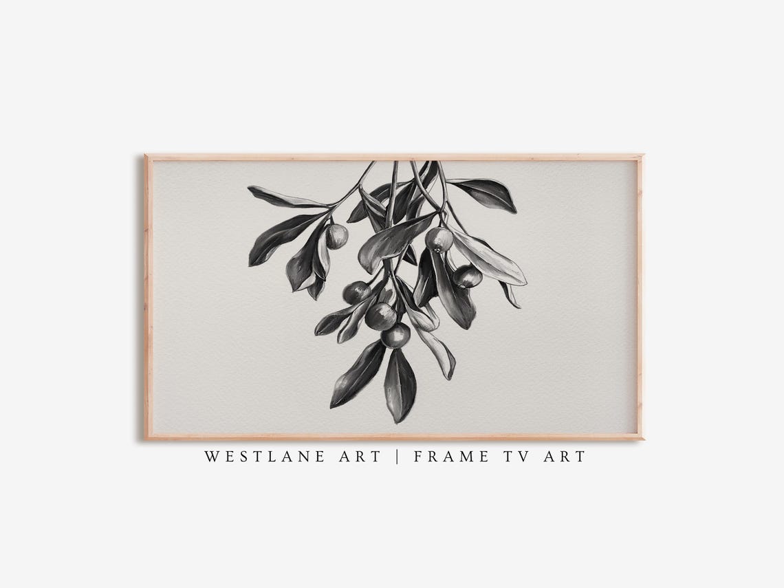 Black And White Mistletoe Sketch Botanical Winter Wall Art Print