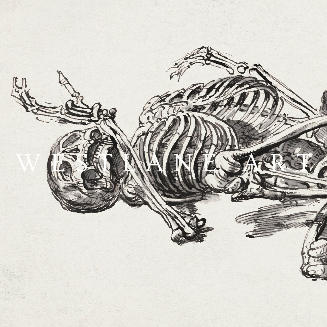 Vintage Reclining Skeleton Anatomy Sketch Dark Halloween Wall Art Poster - Image 2