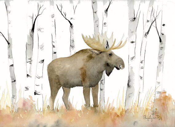 Watercolor Moose