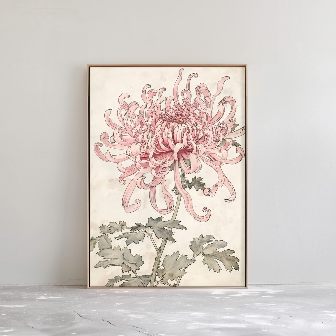 Pink Chrysanthemum Bloom Japanese Botanical Watercolor Poster