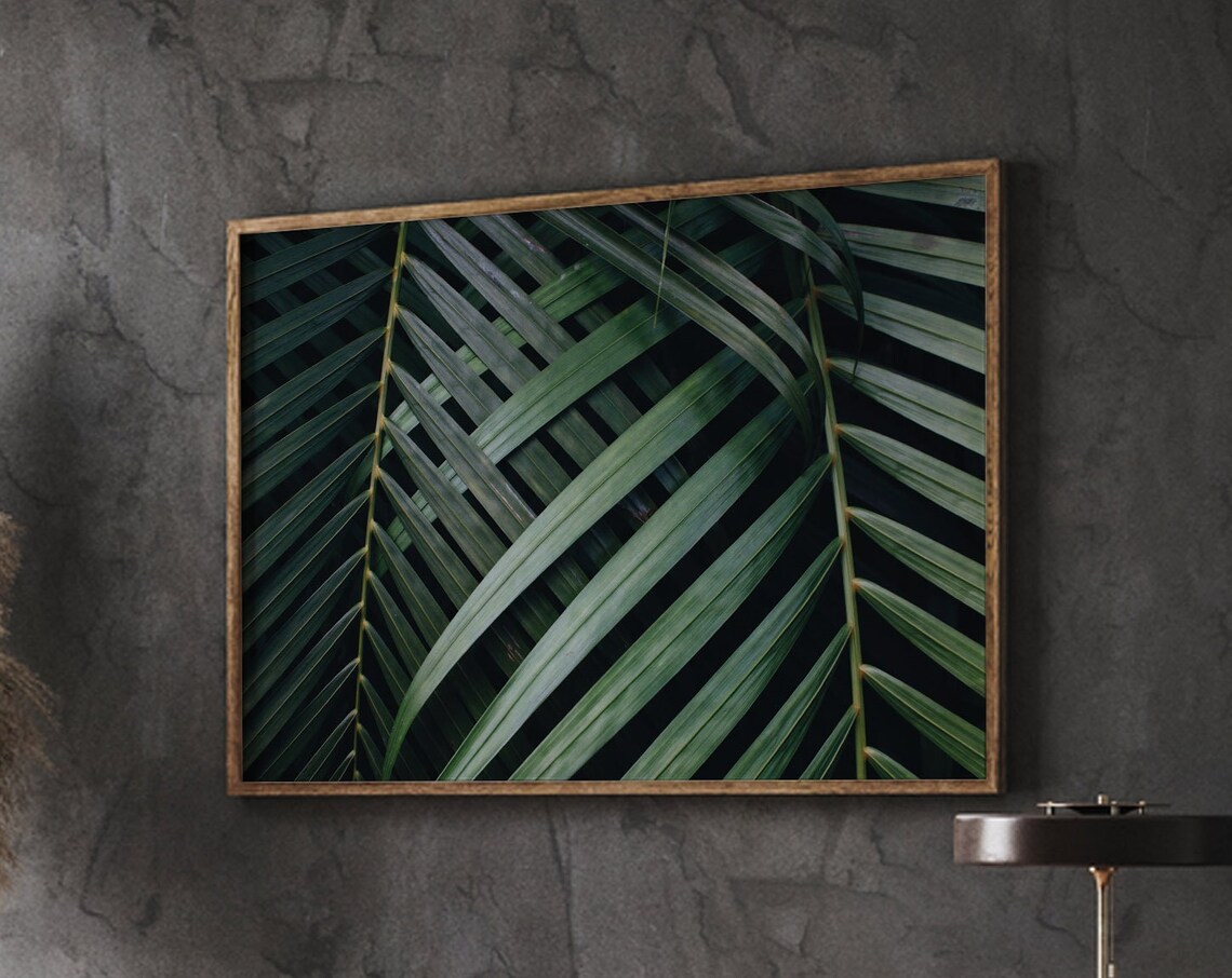 Dark Green Palm Fronds Close Up Tropical Photography Decor Poster