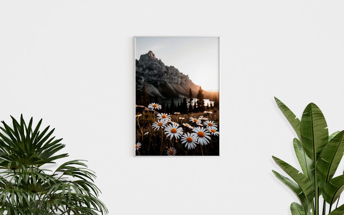 Sunset Daisy Wildflowers Field Alpine Mountain Lake Golden Poster - Image 2