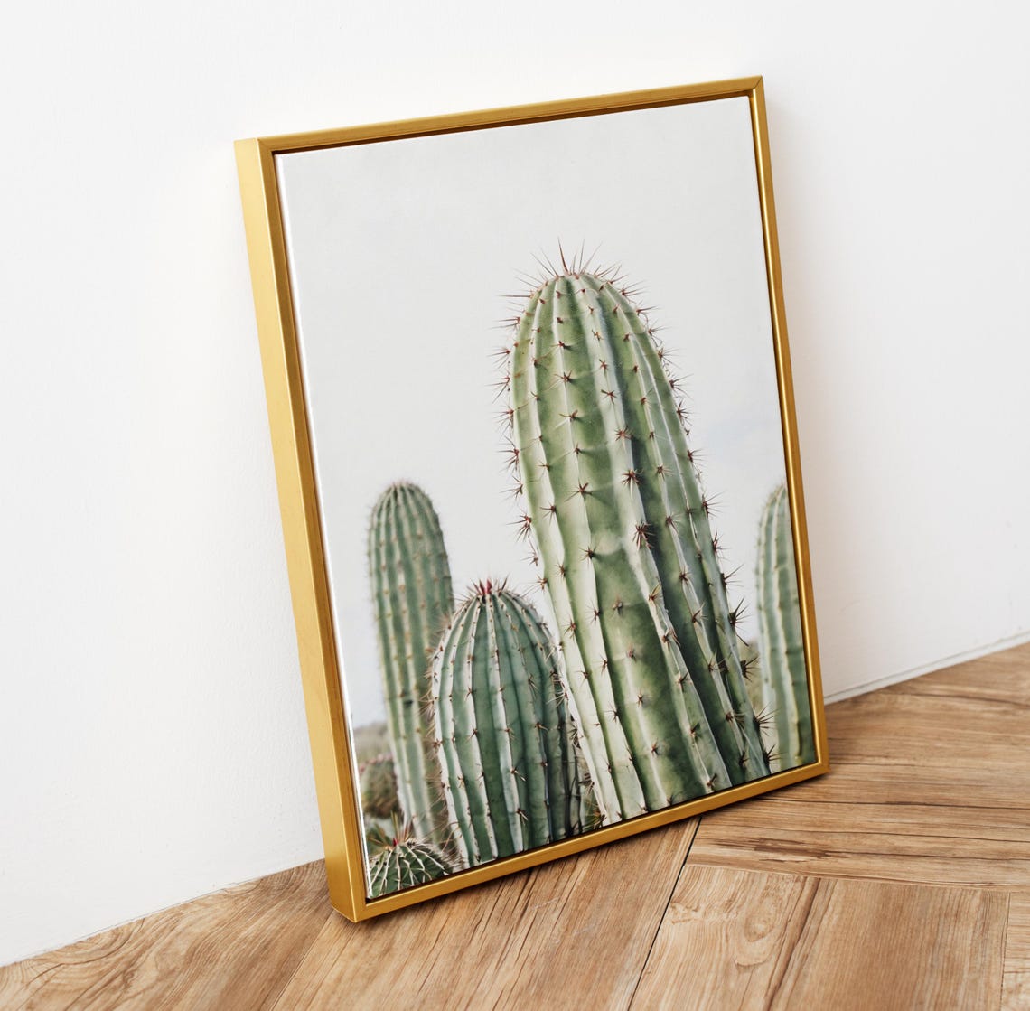 Tall Columnar Cactus Green Spines Minimalist Desert Photo Poster - Image 5
