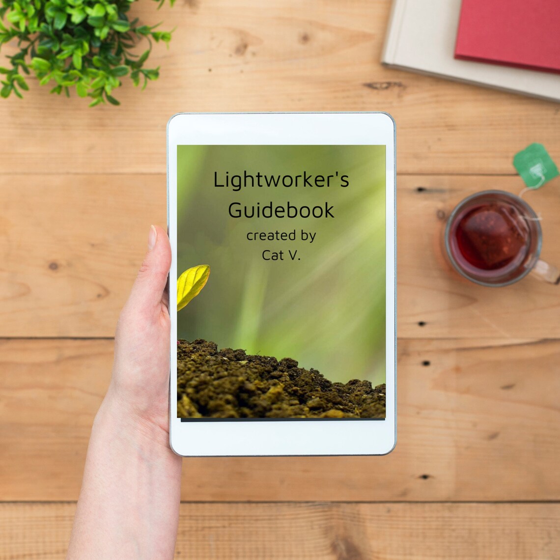 Lightworker Guidebook for Empaths and Healers