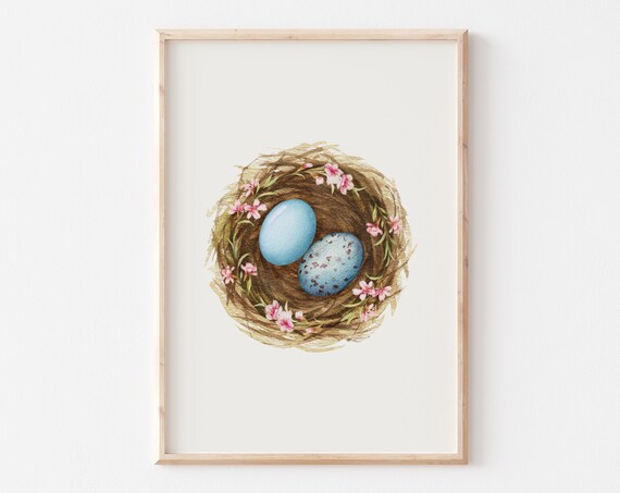 Two Bluebird Eggs In Pink Blossom Nest Watercolor Spring Poster