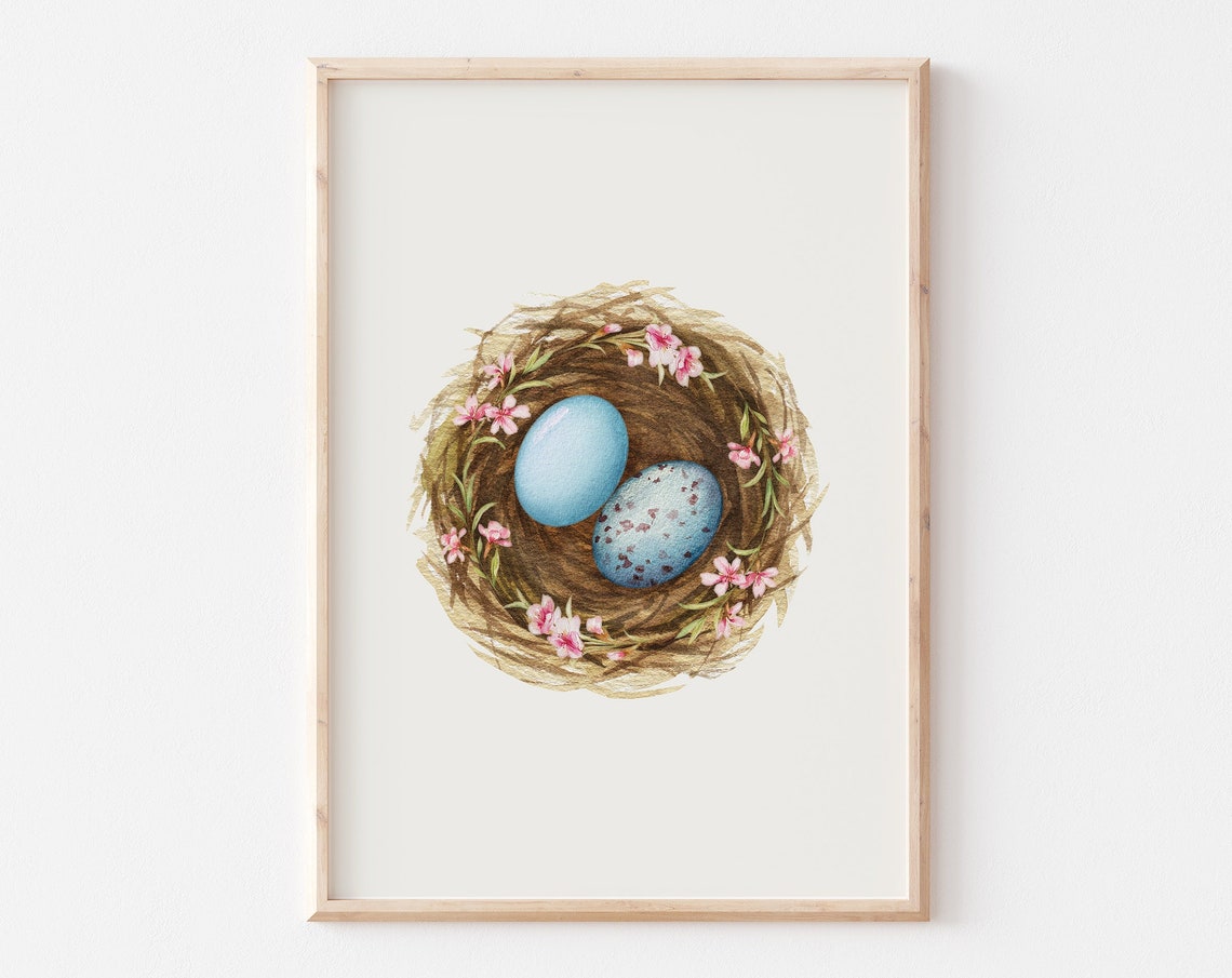 Two Bluebird Eggs In Pink Blossom Nest Watercolor Spring Poster