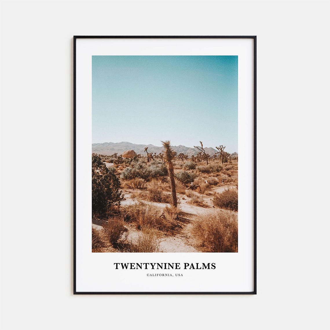 Twentynine Palms California Joshua Tree Desert Travel Photo Print