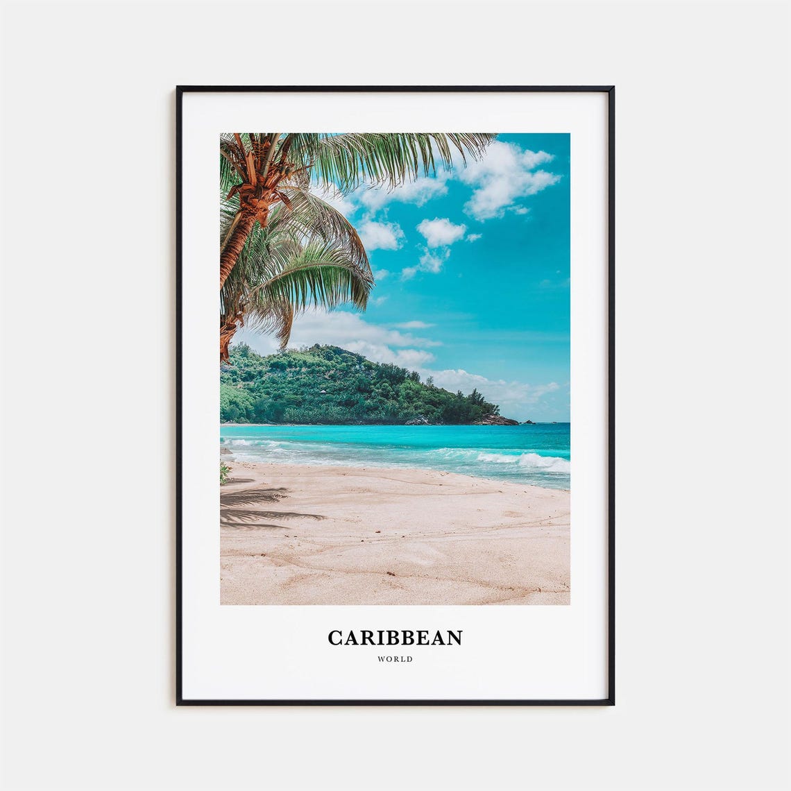 Caribbean Tropical Beach Palm Tree Turquoise Waves Photo Poster