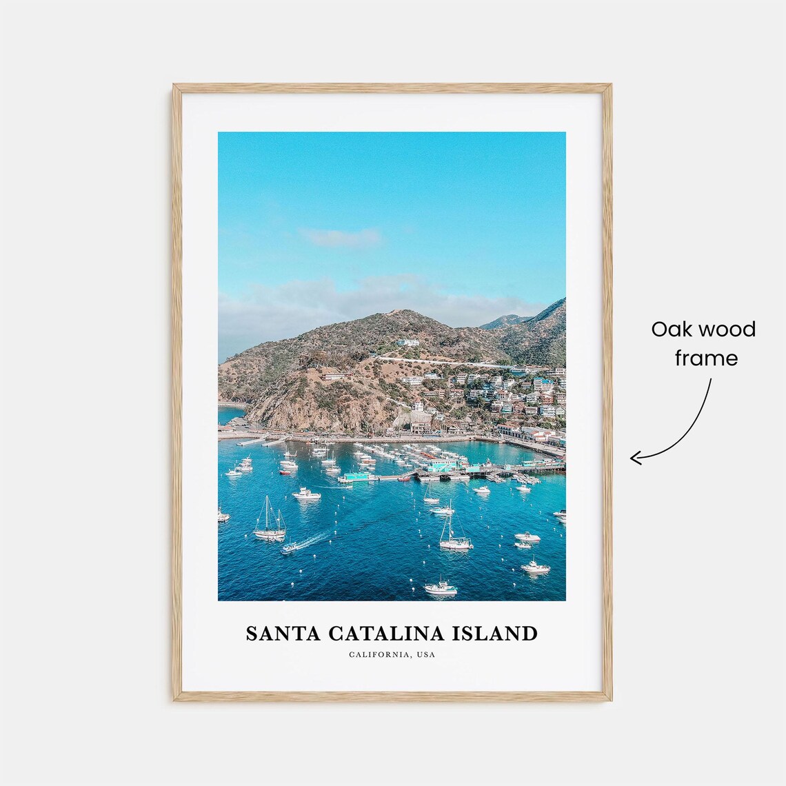 Santa Catalina Island Travel Poster, California USA - Image 3